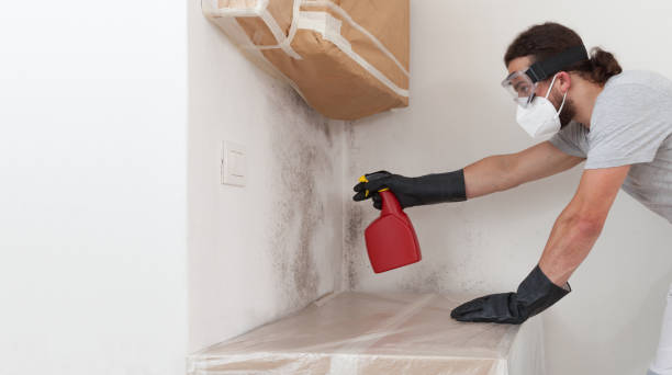 Professional Attic Mold Remediation technician working in Wylie, TX