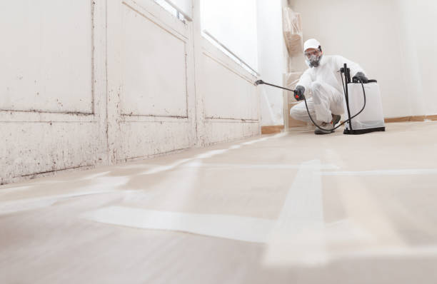24/7 Emergency Attic Mold Remediation experts in Wylie, TX